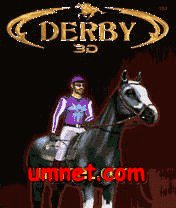 game pic for Derby 3D